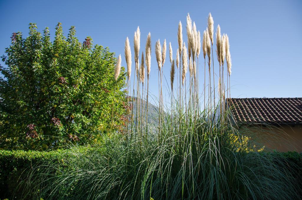 Anma Cottages Sole Lago Acquaseria エクステリア 写真