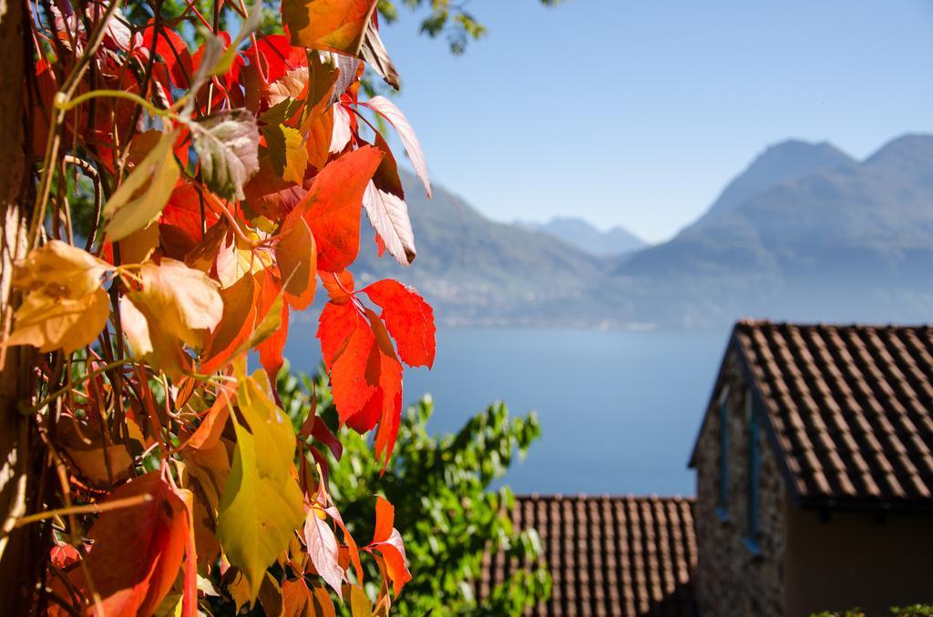 Anma Cottages Sole Lago Acquaseria エクステリア 写真