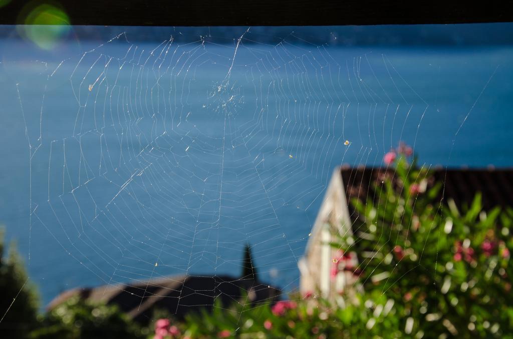 Anma Cottages Sole Lago Acquaseria エクステリア 写真