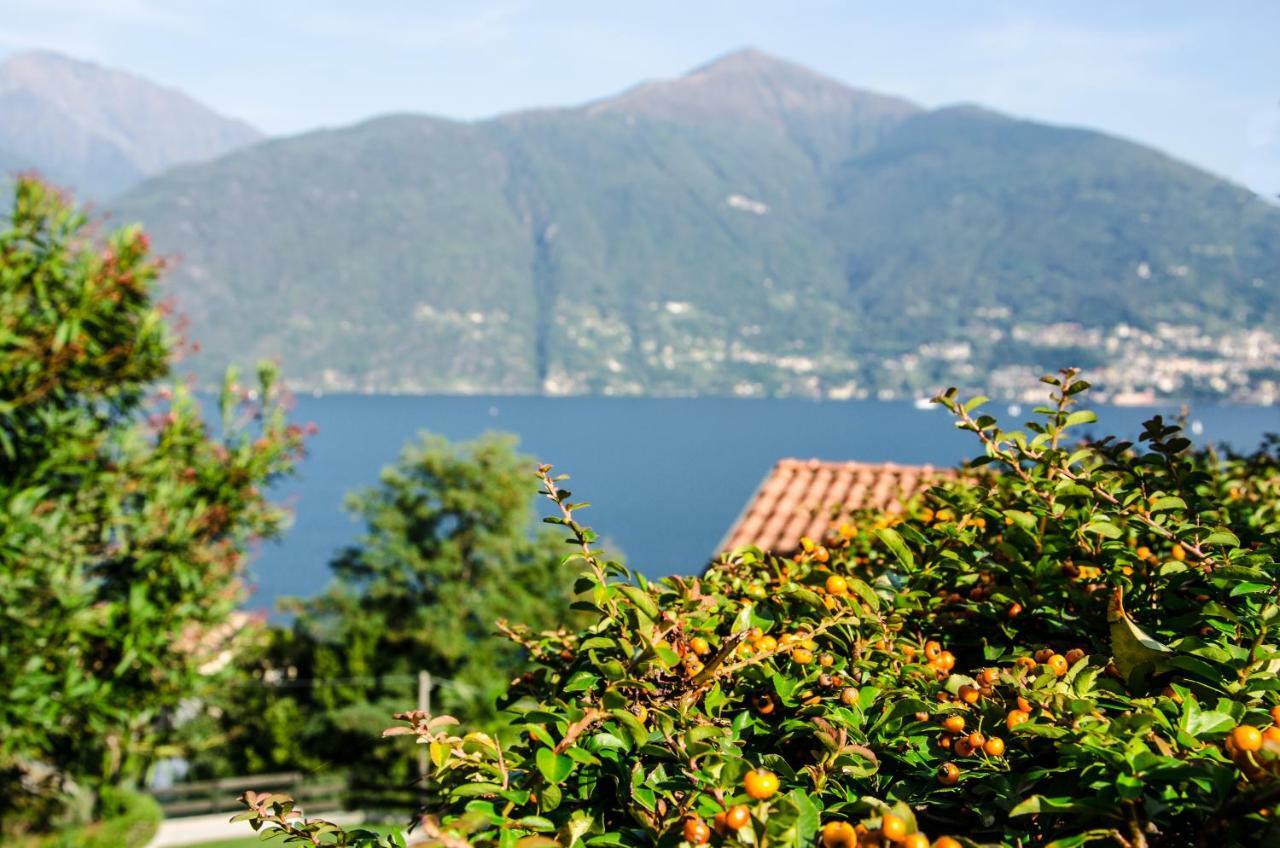 Anma Cottages Sole Lago Acquaseria エクステリア 写真
